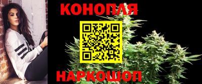 гашик Туймазы