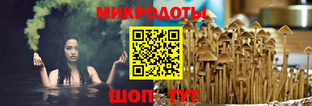 Псилоцибиновые грибы мицелий  цена наркотик  Всеволожск  Вход с VPN  Псилоцибиновые грибы Magic Shrooms 