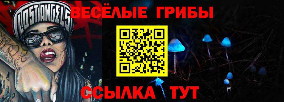 Псилоцибиновые грибы прущие грибы Всеволожск